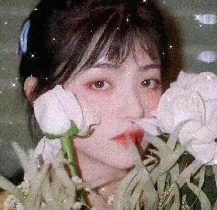 关于莉莉周的一切